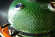 Керамический гриль SG с окошком, 57 см / 22 дюйма (зеленый) (Start Grill) в Ростове-на-Дону
